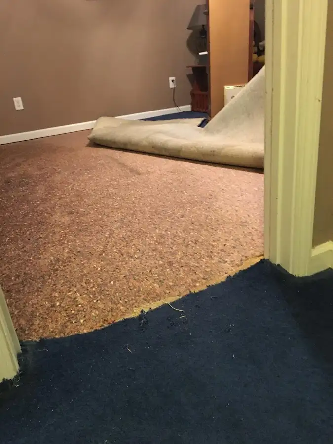 Carpet pad removal revealing water damage during Drying & Dehumidification in Signal Mountain