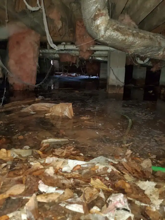 Crawl space flood assessment for Leak Detection & Repair in Signal Mountain
