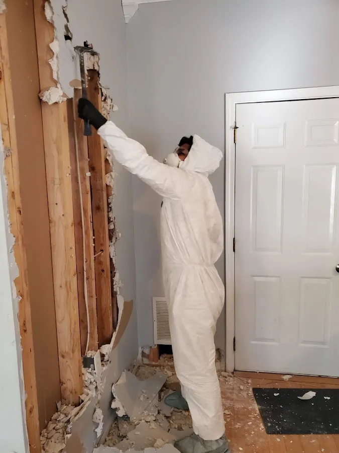 Water Damage Restoration services in Signal Mountain, TN